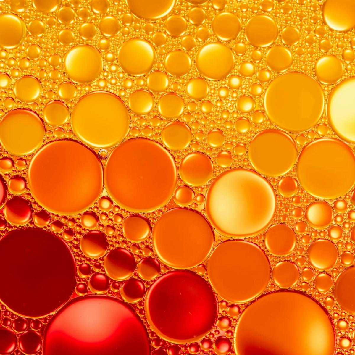 The Conscious Dimensions of Reality – A Vedic&nbsp;Analysis