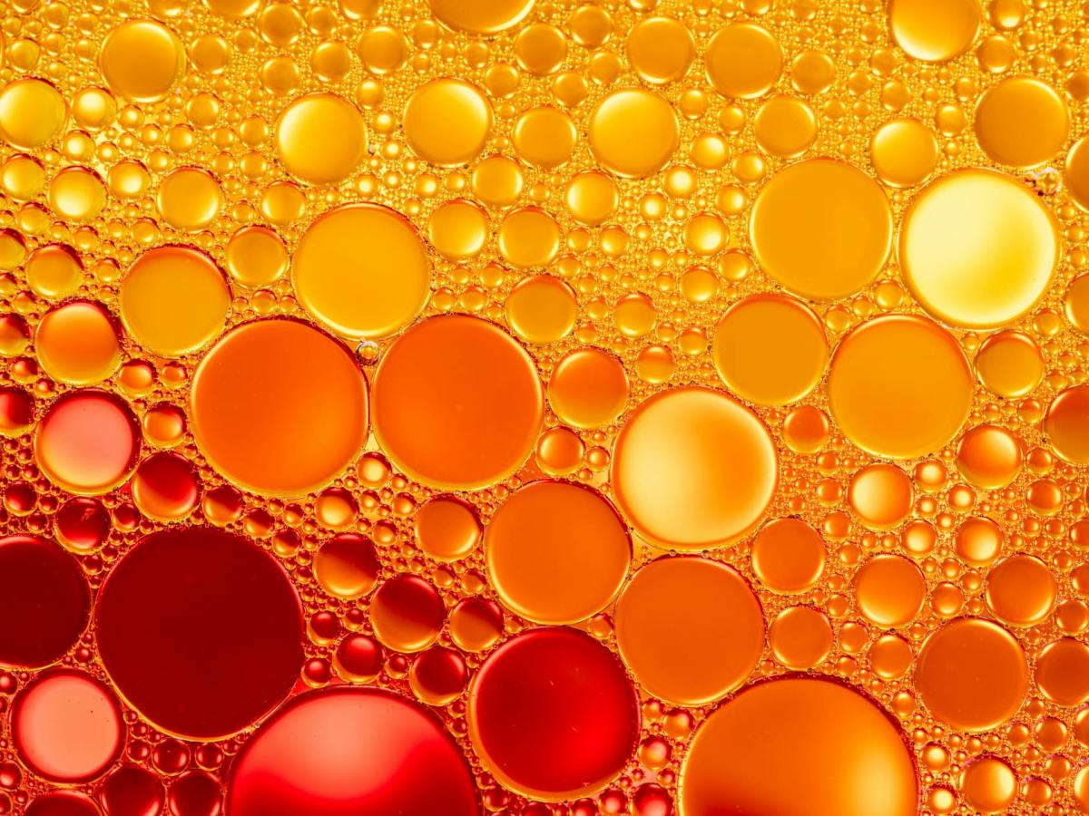 The Conscious Dimensions of Reality – A Vedic&nbsp;Analysis