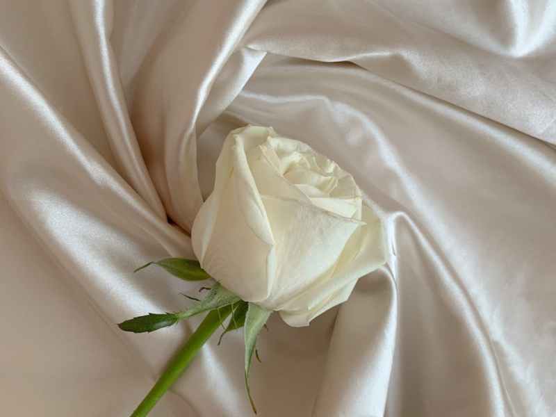 The Elegant Simplicity of&nbsp;Idealism